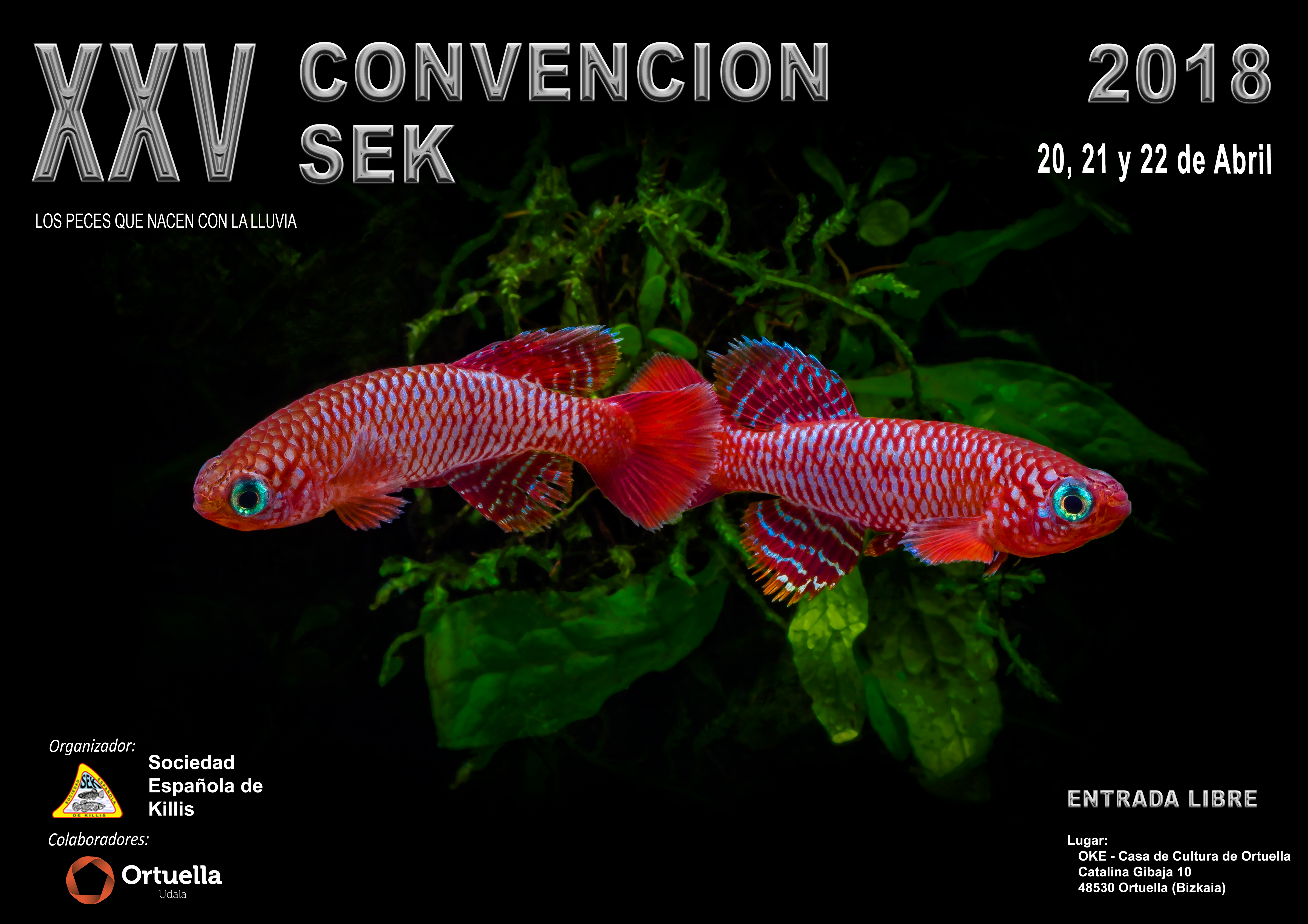 XXV Convención de la SEK 1