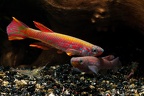 foto9