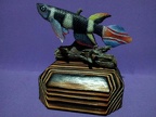 Pseudoepliplatys annulatus - Rafa Cervantes    