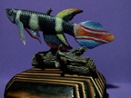 Pseudoepliplatys annulatus - Rafa Cervantes      