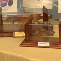 Trofeos  XIX convencion SEK - Rafa Cervantes