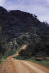 Monte Aln  GEML   00.jpg (53217 bytes)