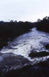 Rio Uoro .  GEMHS  00.jpg (40067 bytes)